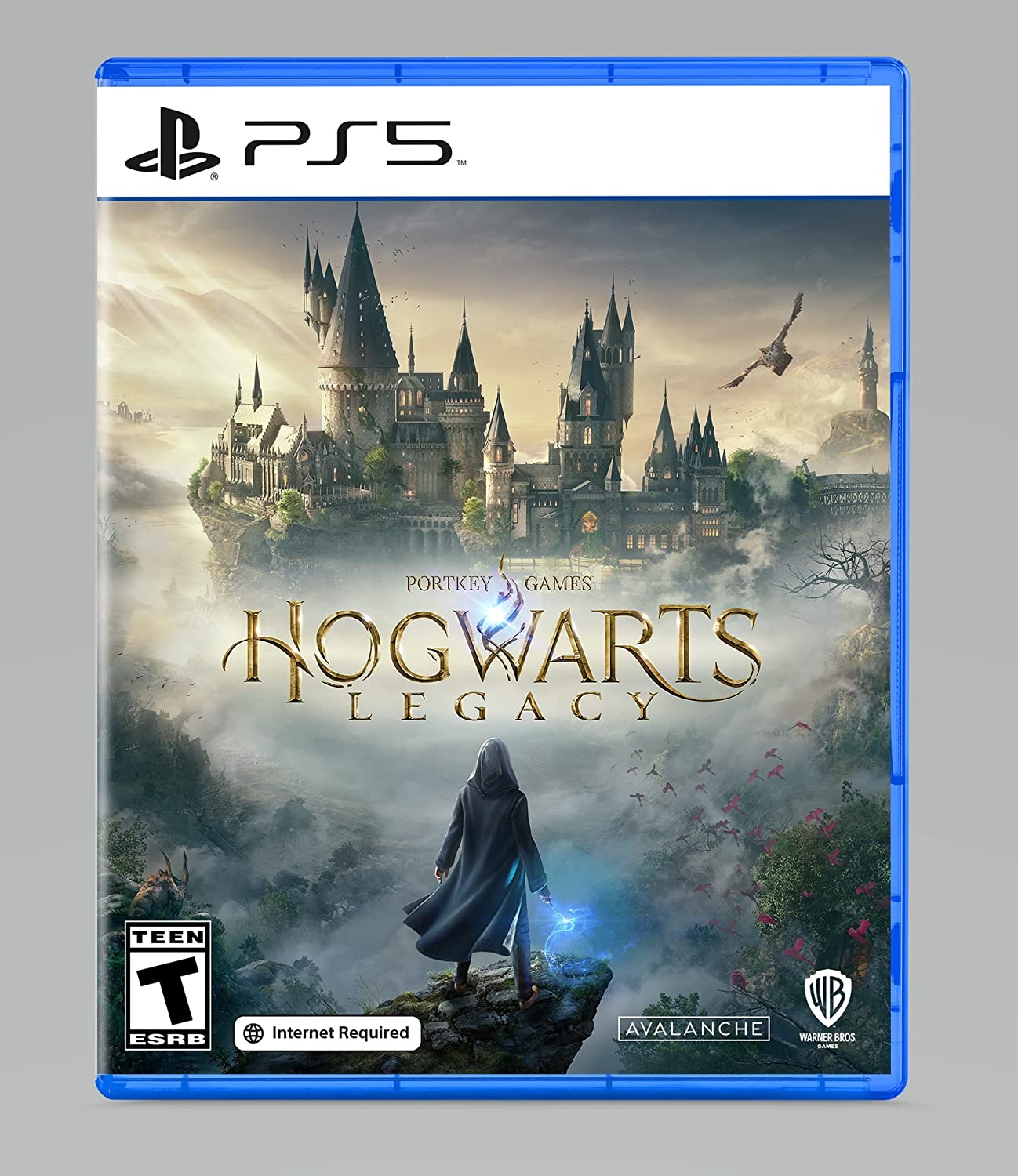 Hogwarts Legacy - PlayStation 5 - Image 1
